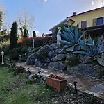 Art Experience Novecento E Dintorni Monte Grimano Terme
