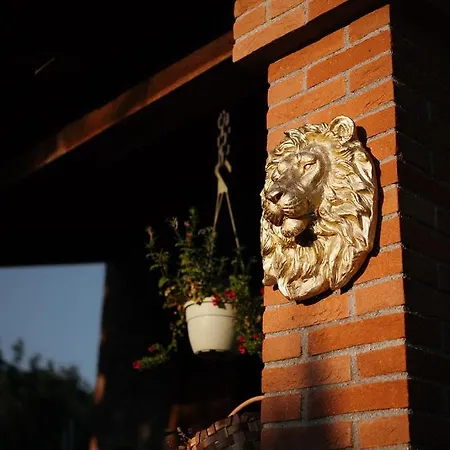 Bed & Breakfast Art Experience Novecento E Dintorni