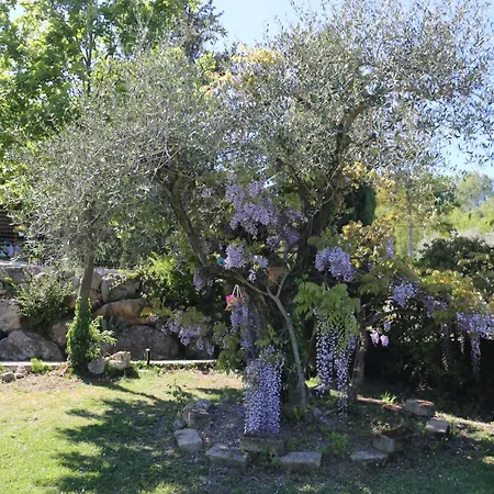 Art Experience Novecento E Dintorni Bed & Breakfast *