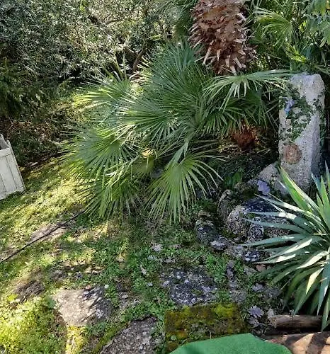 Art Experience Novecento E Dintorni * Monte Grimano Terme